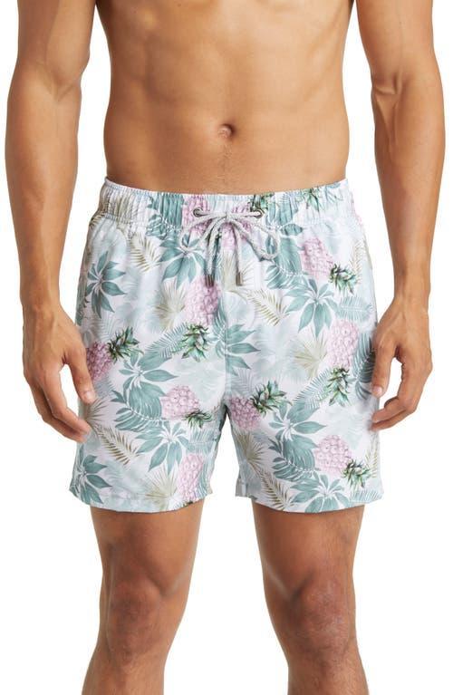 Vintage Summer Stretch Swim Trunks Product Image