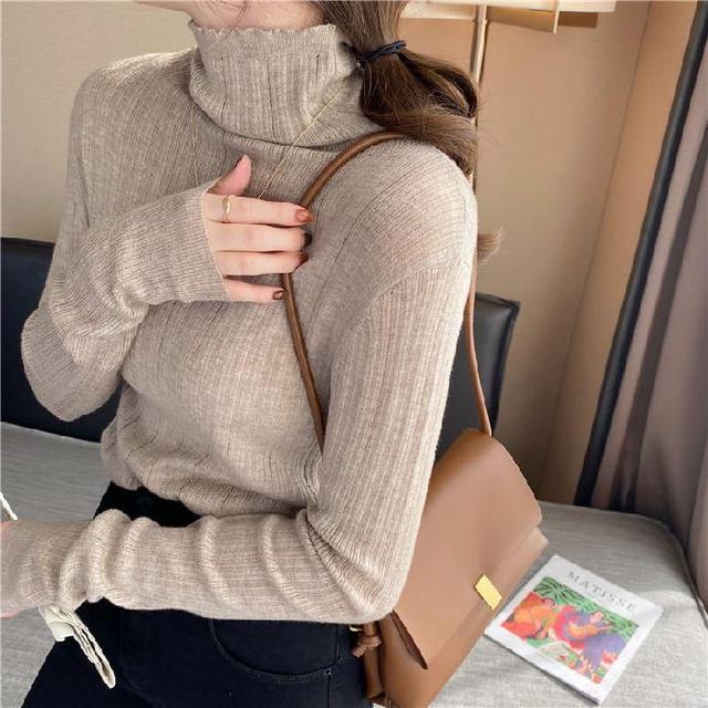 Turtleneck Plain Ribbed Knit Sweater Product Image