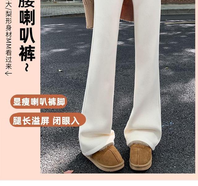 Mid Rise Plain Knit Flared Pants Product Image