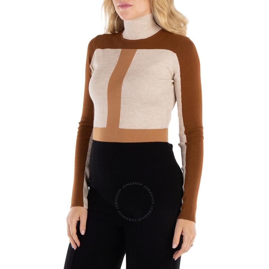 Chloe Ladies Multicolor Brown Turtleneck Top Product Image