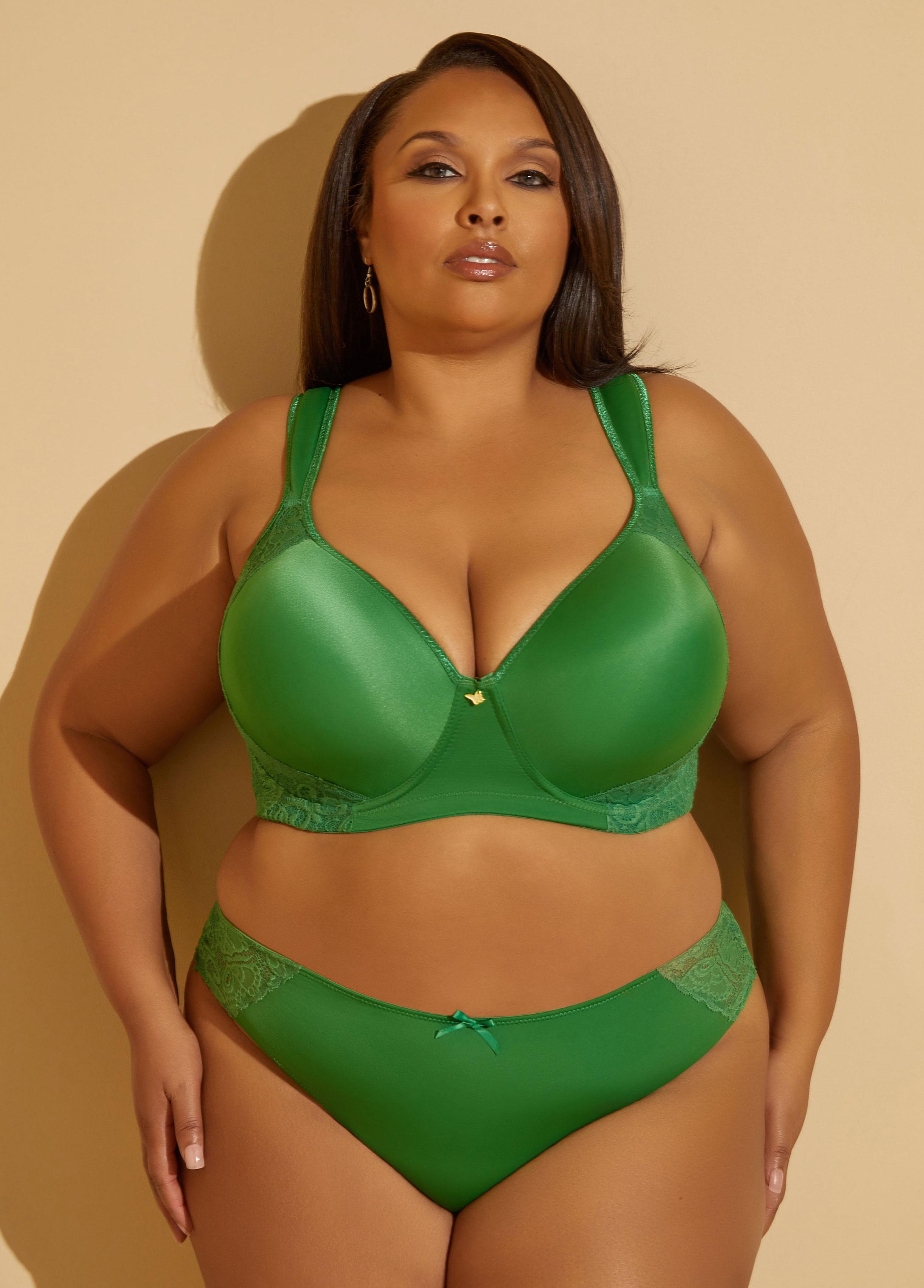 Plus Size Paneled Bikini Briefs Ashley Stewart Product Image