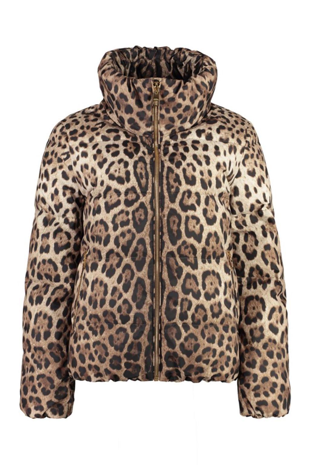 Leopard-print Padded Jacket In Multicolor Product Image