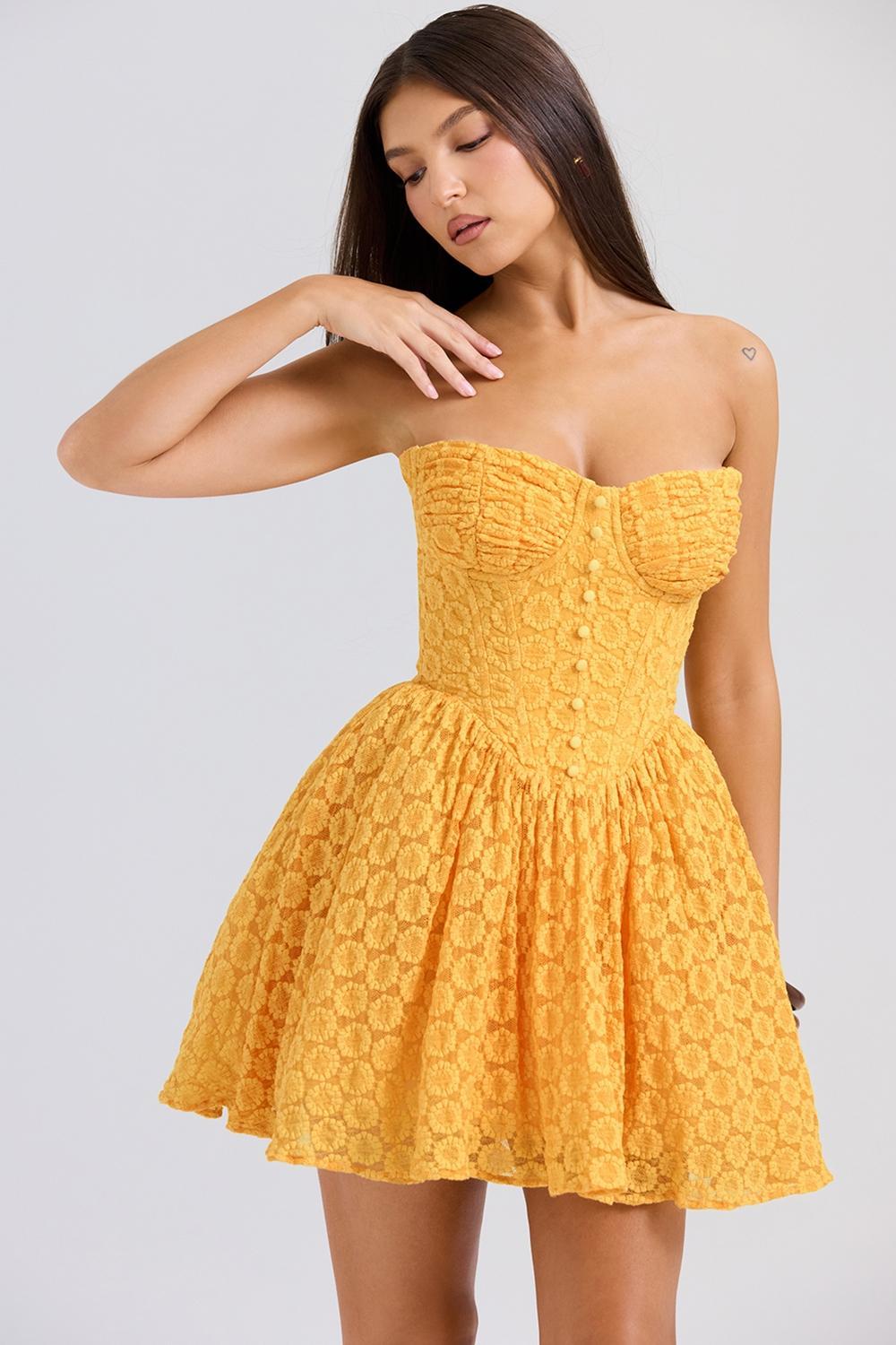 Carolina Apricot Lace Corset Mini Dress Product Image