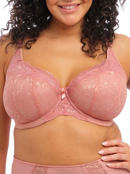 Elomi Brianna Padded Half Cup Scallop Lace Overlay Push Product Image