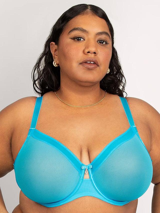 Sheer Mesh Unlined Bra Product Image