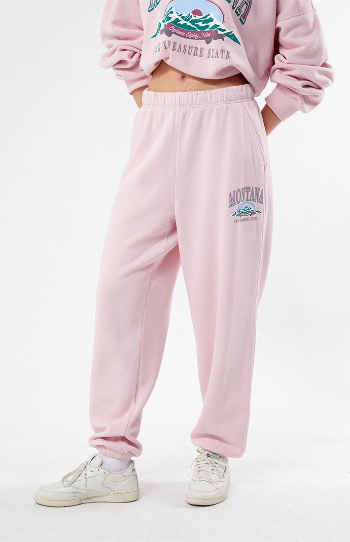 PacSun Womens Montana Sweatpants - Pinkarge Product Image