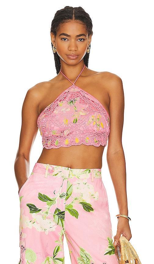 Crop Top Product Image