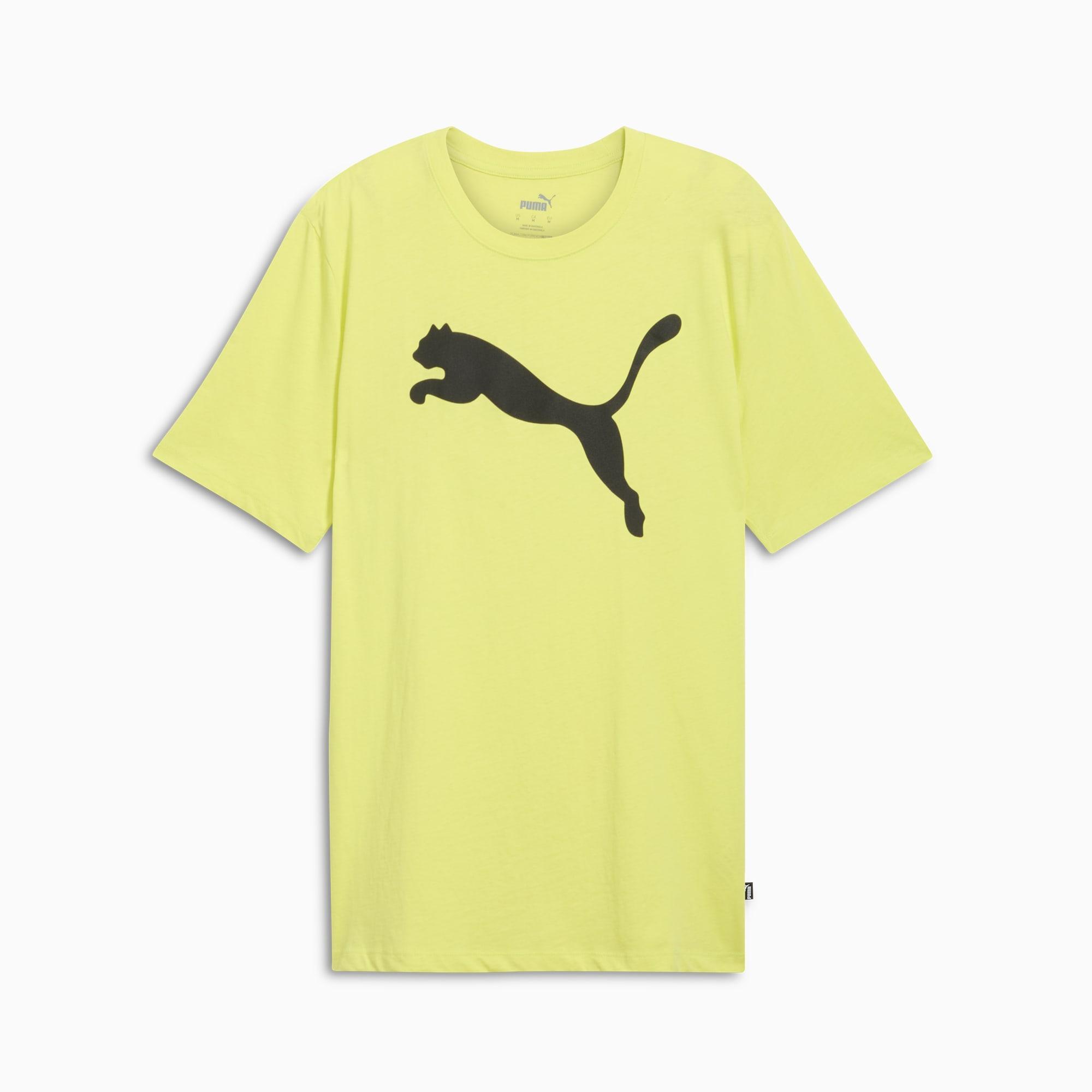 Essentials Big Cat Men's Tee Product Image