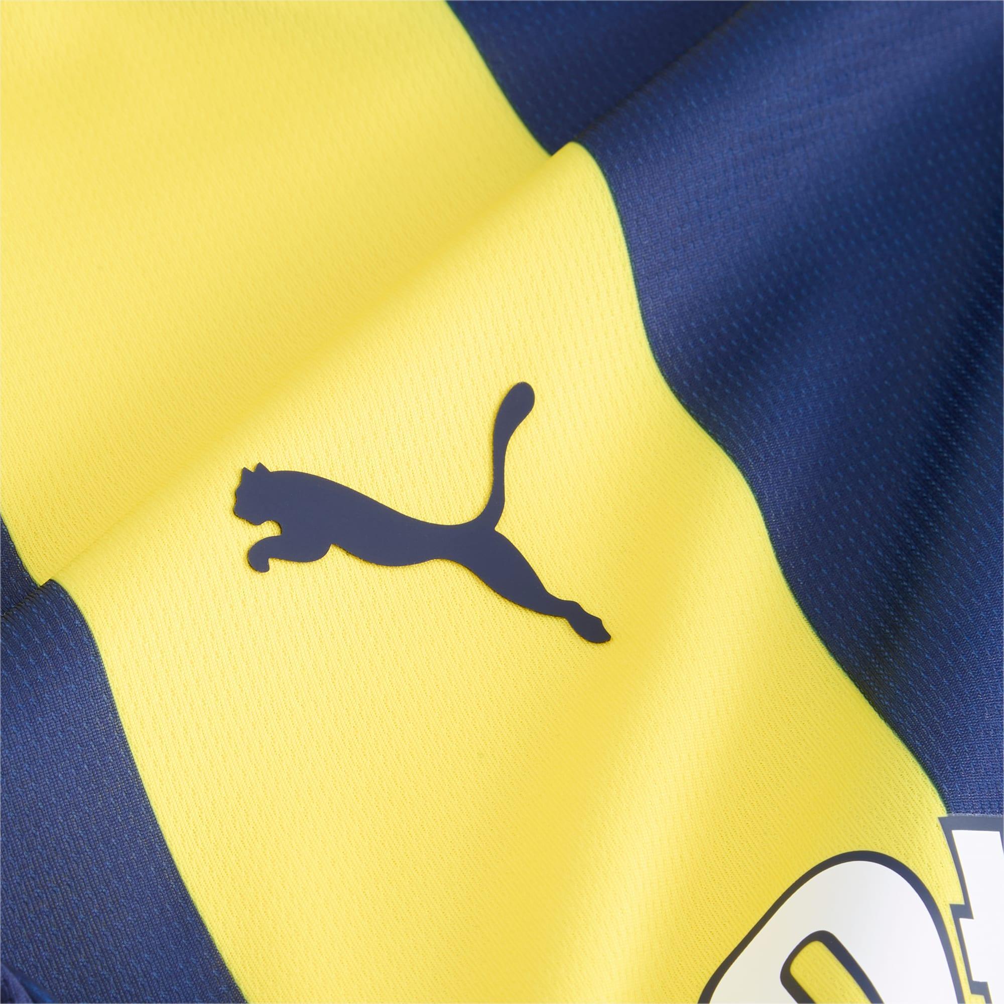 Fenerbahçe SK 24/25 Men's Replica Home Soccer Jersey Product Image