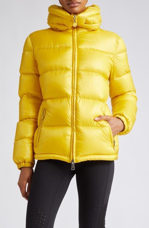 Moncler Douro Down Puffer Jacket Product Image