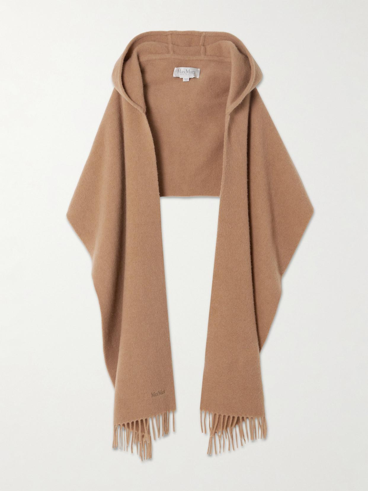 MAX MARA Zena Fringed Embroidered Cashmere And Wool-blend Scarf In Brown Product Image