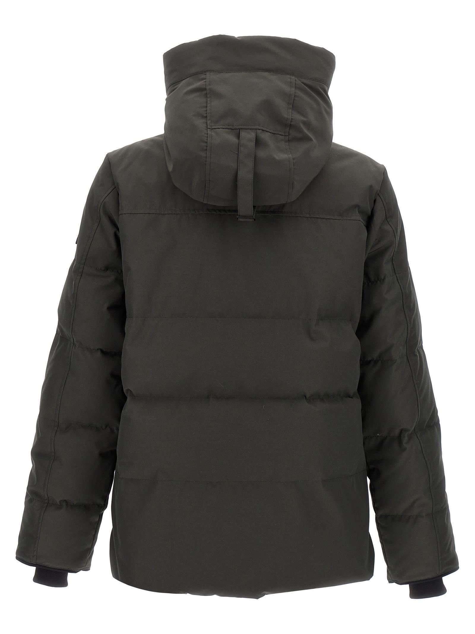 CANADA GOOSE Macmillan Cotton Blend Down Jacket In Gray Product Image