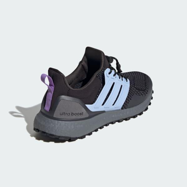 Ultraboost 1.0 Shoes Product Image