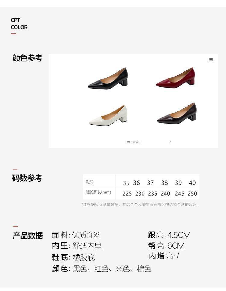 Pointed Toe Block Heel Pumps Product Image