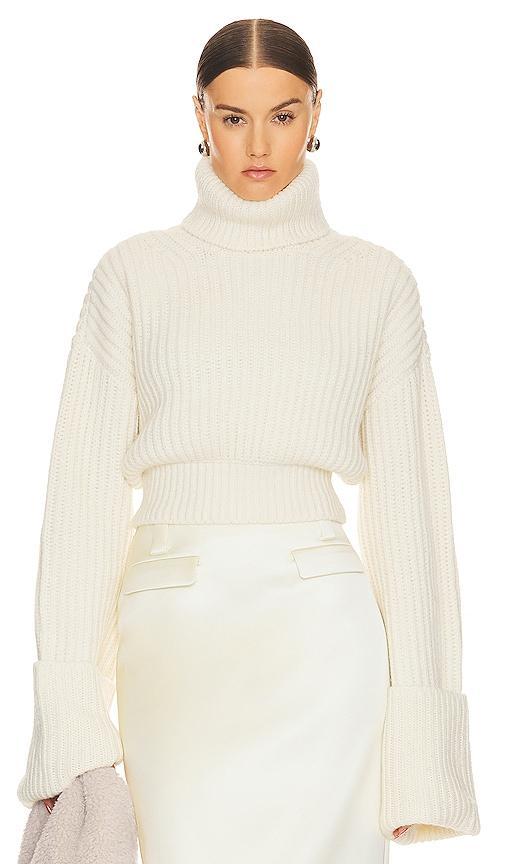 Esti Turtleneck Sweater product image