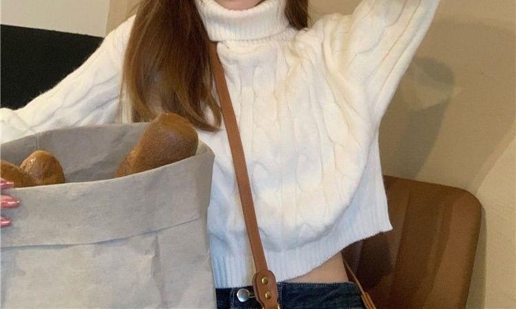 Turtleneck Plain Cable Knit Sweater Product Image