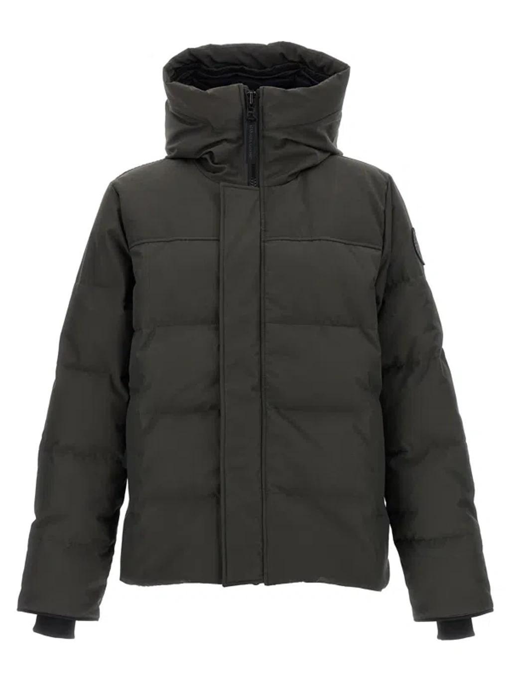 CANADA GOOSE Macmillan Cotton Blend Down Jacket In Gray Product Image