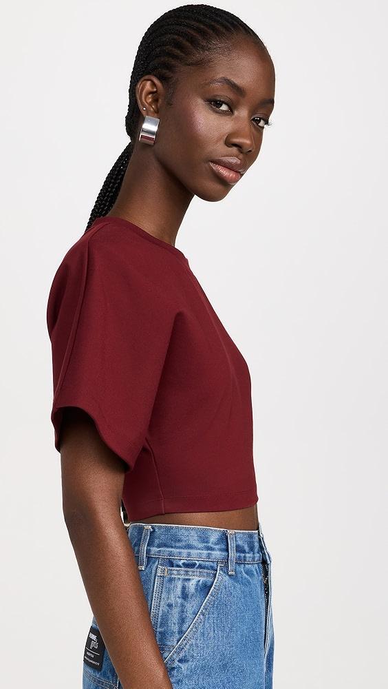 AREA Fringe Brooch Cropped T-Shirt | Shopbop Product Image