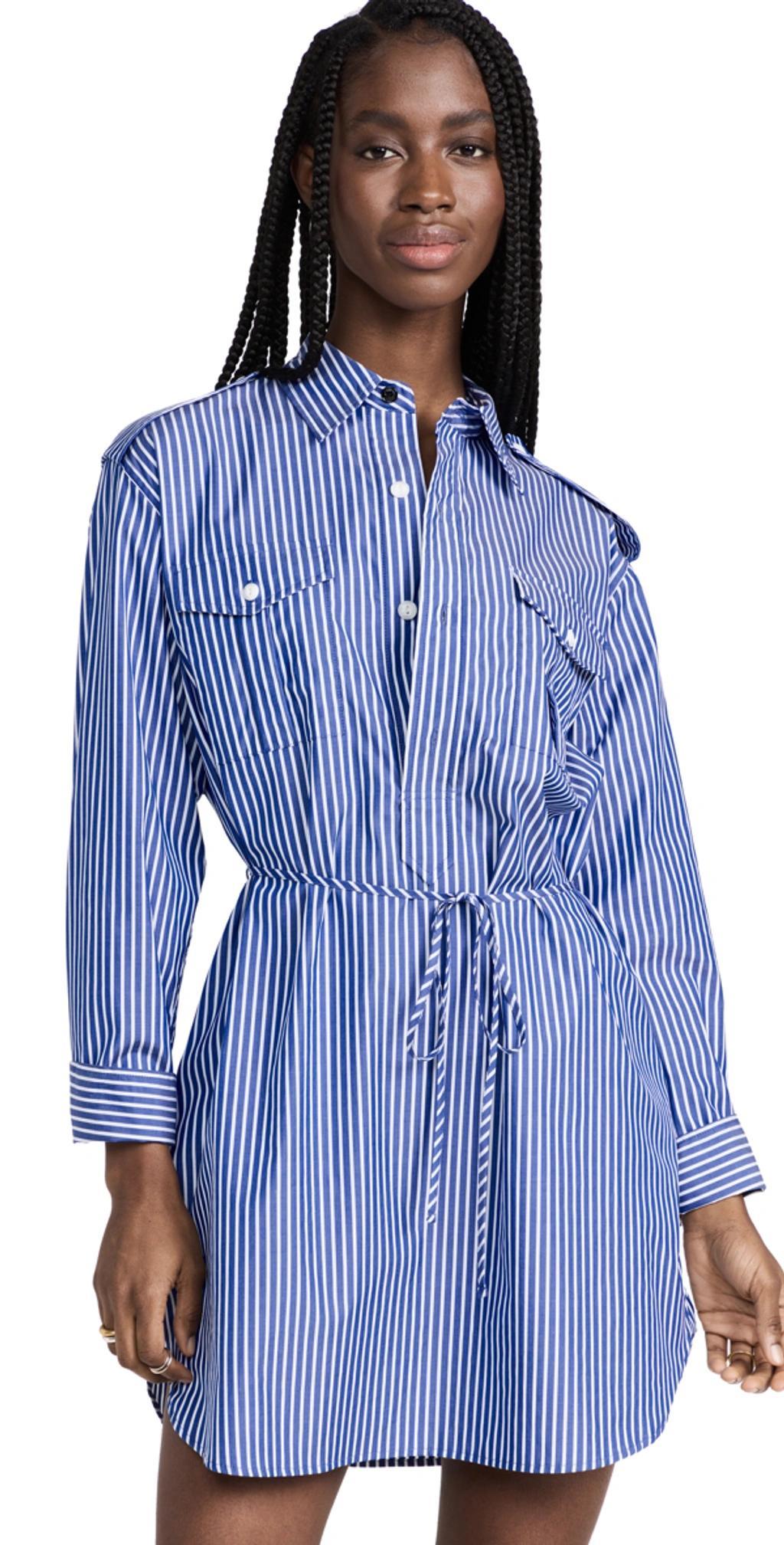 Nadine Shirtdress In Blue Stripe Product Image