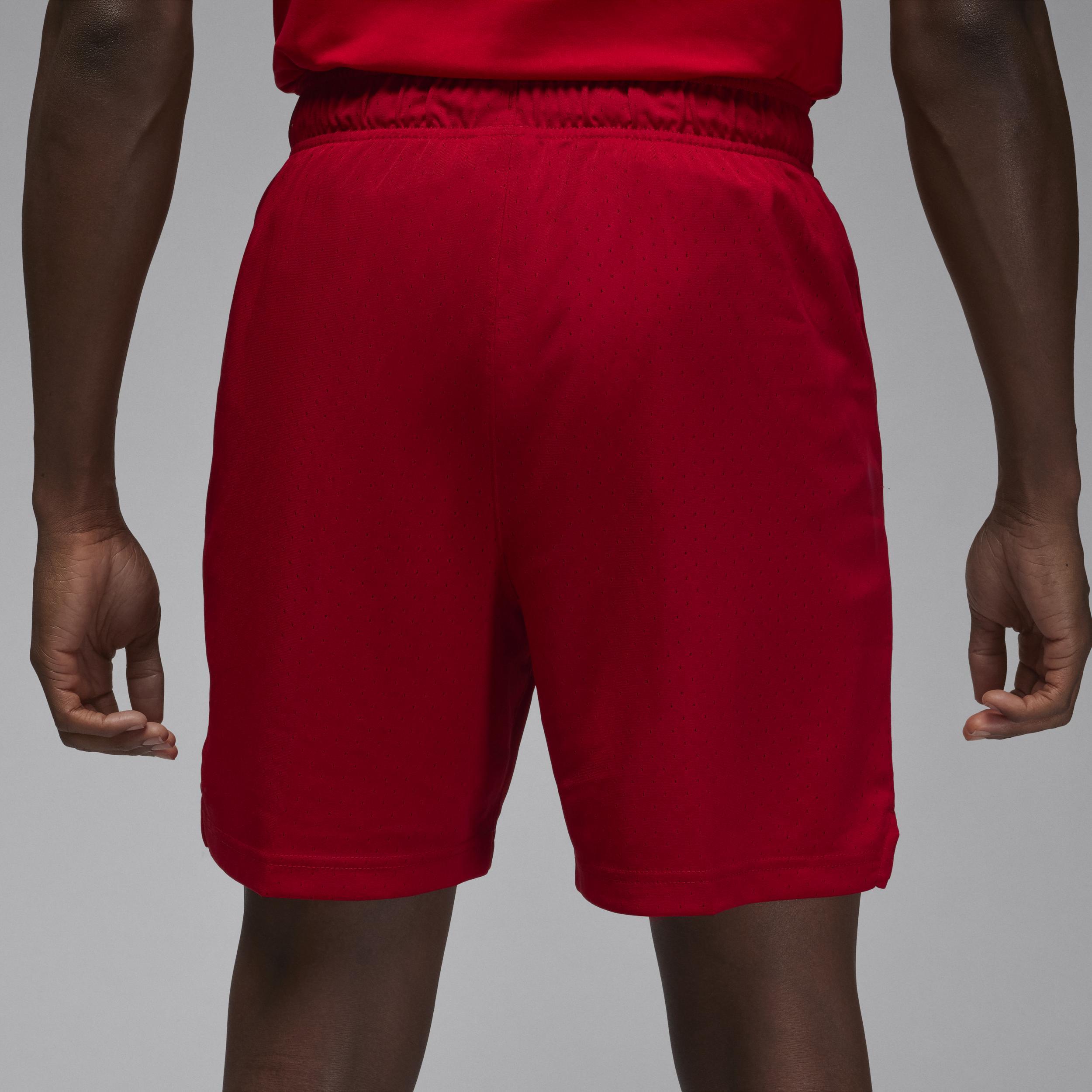 Men's Jordan Dri-FIT Sport Mesh Shorts Product Image