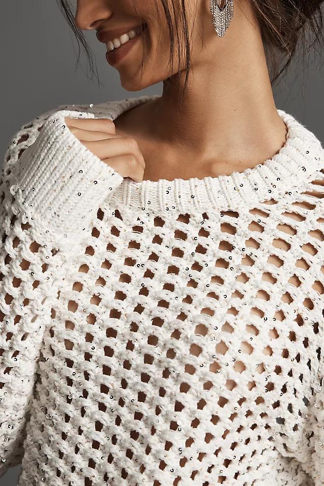 Endless Rose Crew-Neck Sequin Open-Stitch Sweater Product Image