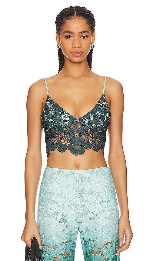 Trancas Bralette Product Image