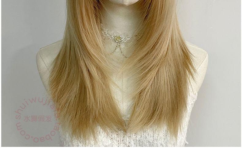 Long Full Wig - Straight Product Image