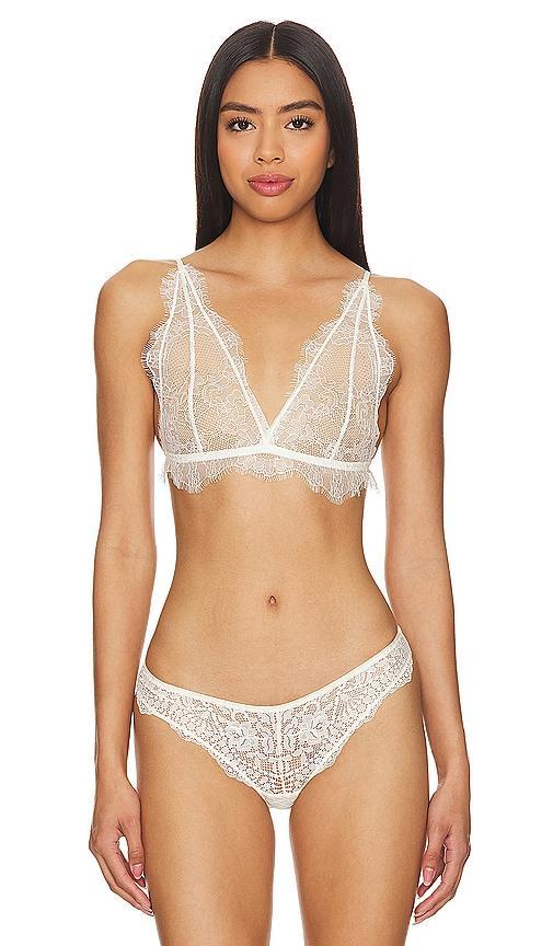 Delicate Lace Bra Product Image