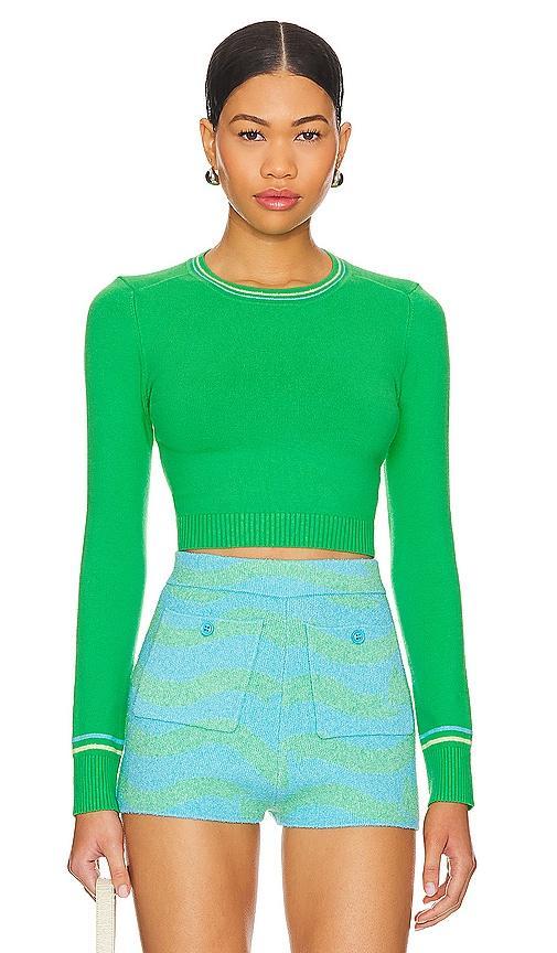 Long Sleeve Crop Top Product Image