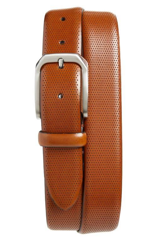 Johnston  Murphy Mens Micro Perf Belt Product Image