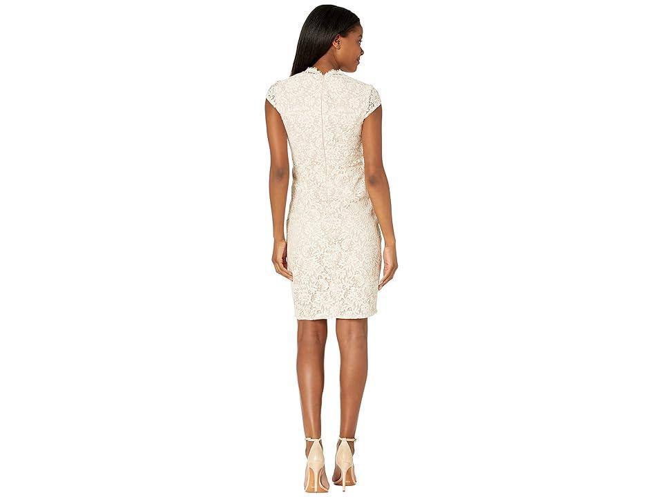 Vince Camuto Lace Bodycon with Cap Sleeves and Scallop V-Neck (Ivory) Women's Dress Product Image