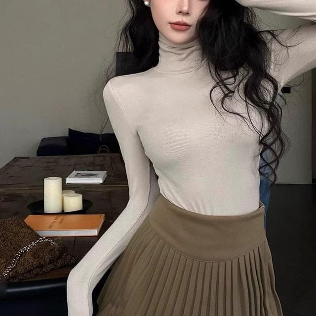 Long Sleeve Turtleneck Plain Top Product Image