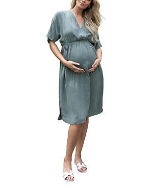 Emilia George Irene Maternity/Nursing Dress Product Image