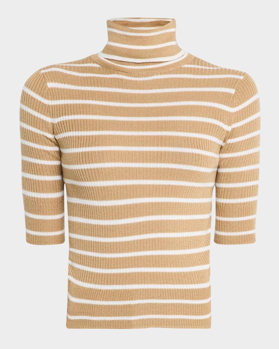 Katrina Striped Turtleneck Sweater Product Image