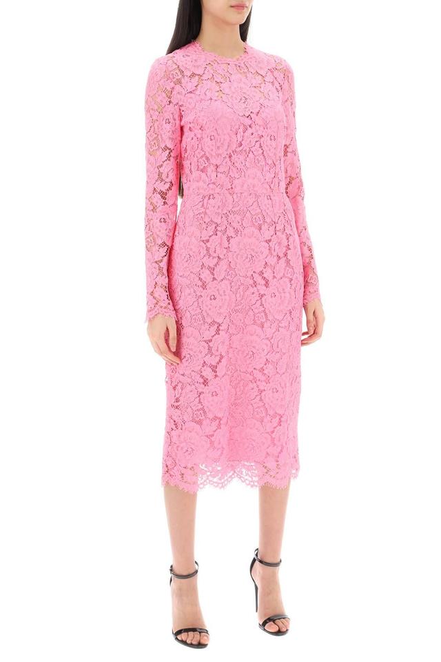 DOLCE & GABBANA Lace Sheath Dress Dresses Pink Product Image