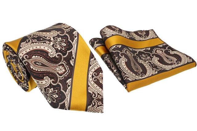 Gold Striped Paisley Pattern Men's Classic Tie and Pocket Square Set Male Product Image