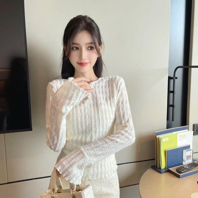 Long Sleeve Round Neck Plain Lace Top Product Image