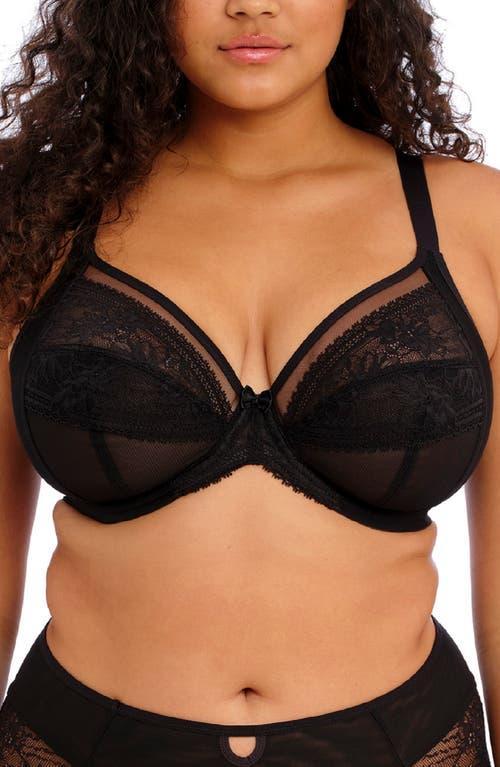 Elomi Kendra Underwire Plunge Bra Product Image