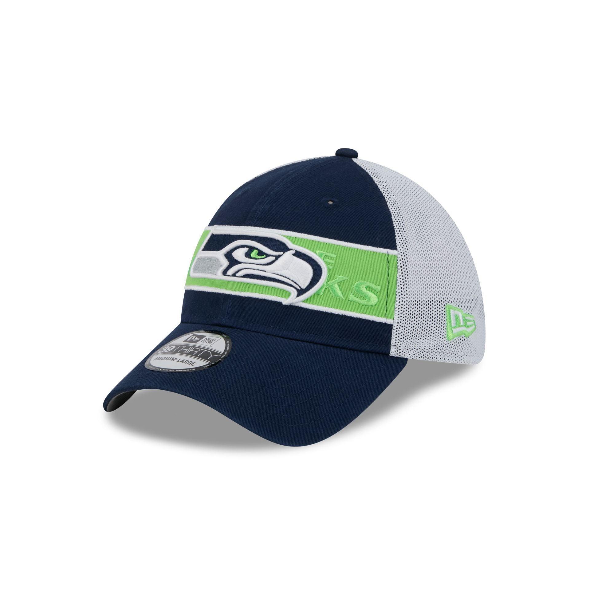 Seattle Seahawks Banded 39THIRTY Stretch Fit Hat Male Product Image