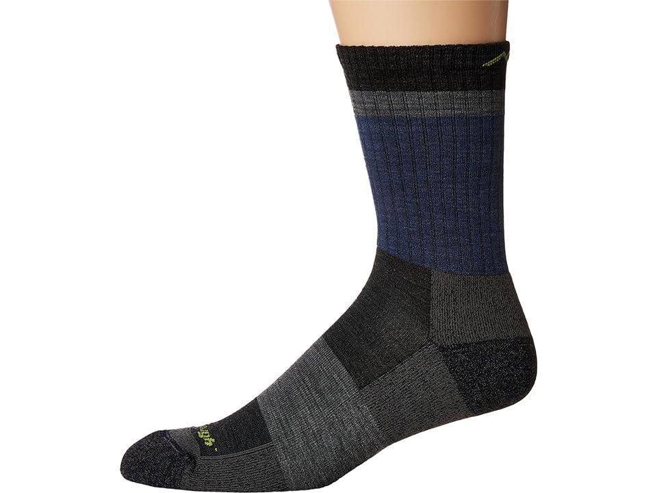 Darn Tough Lightweight Heady Striped Micro Crew Hiking Socks Product Image