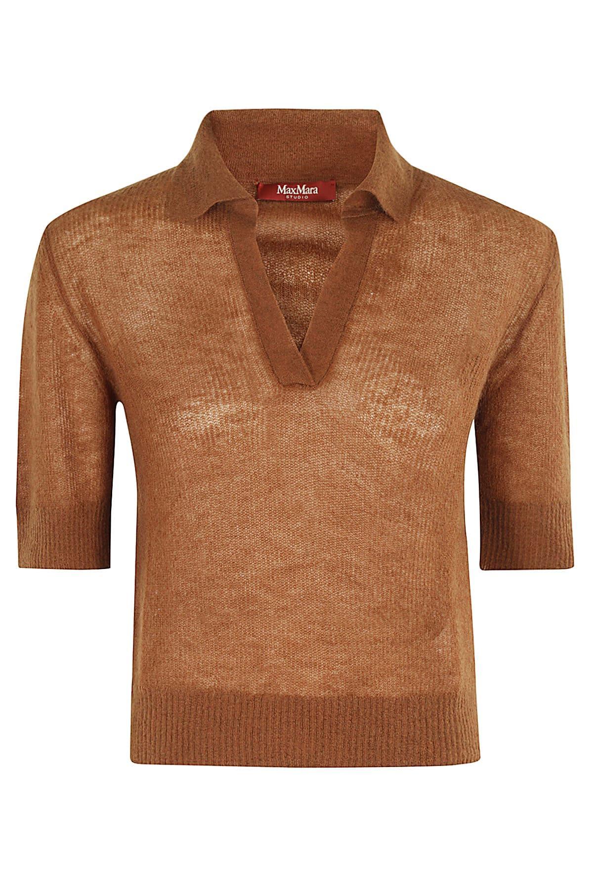 MAX MARA Pablo In Brown Product Image