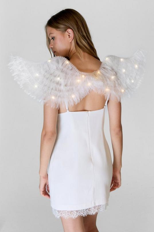 Angel Wings Product Image