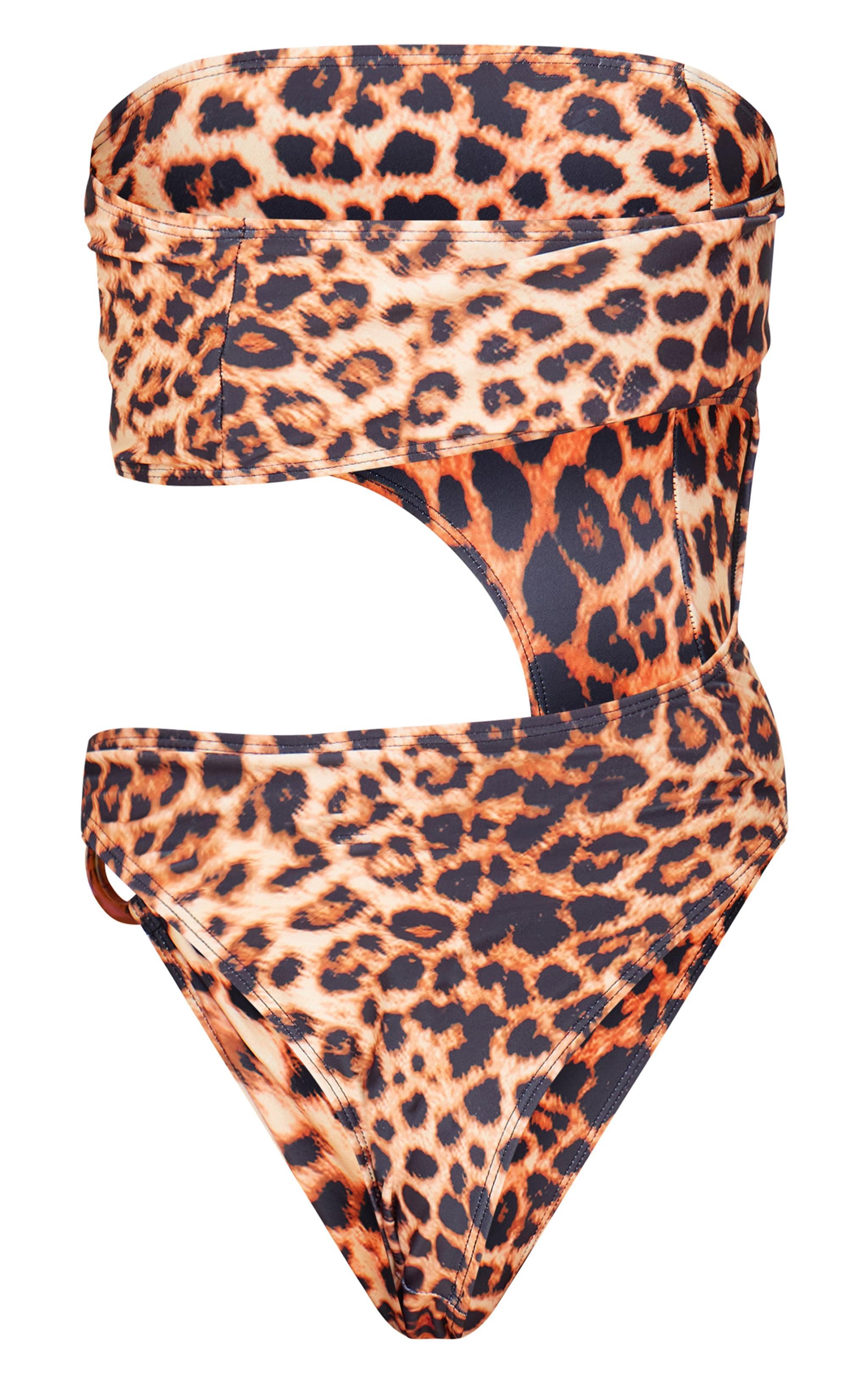 Brown Leopard Print Cut Out O Ring Trim Detail Swimsuit Product Image