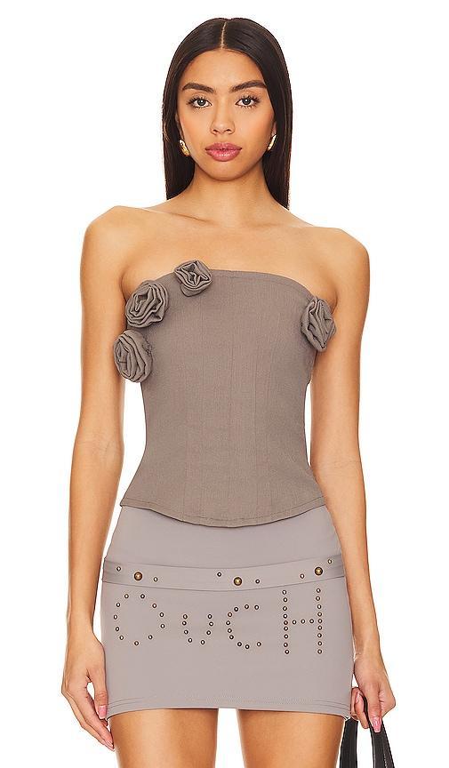 Rose Garden Tube Top Product Image