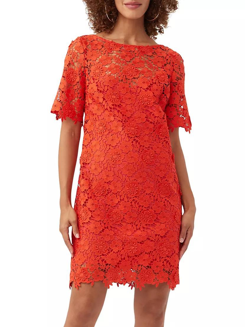 Sun Floral Lace Minidress Product Image