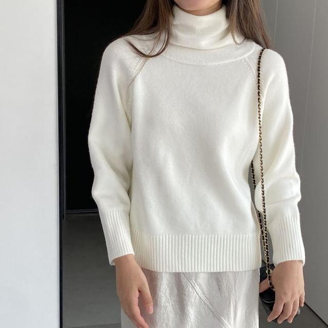 Turtleneck Plain Sweater Product Image