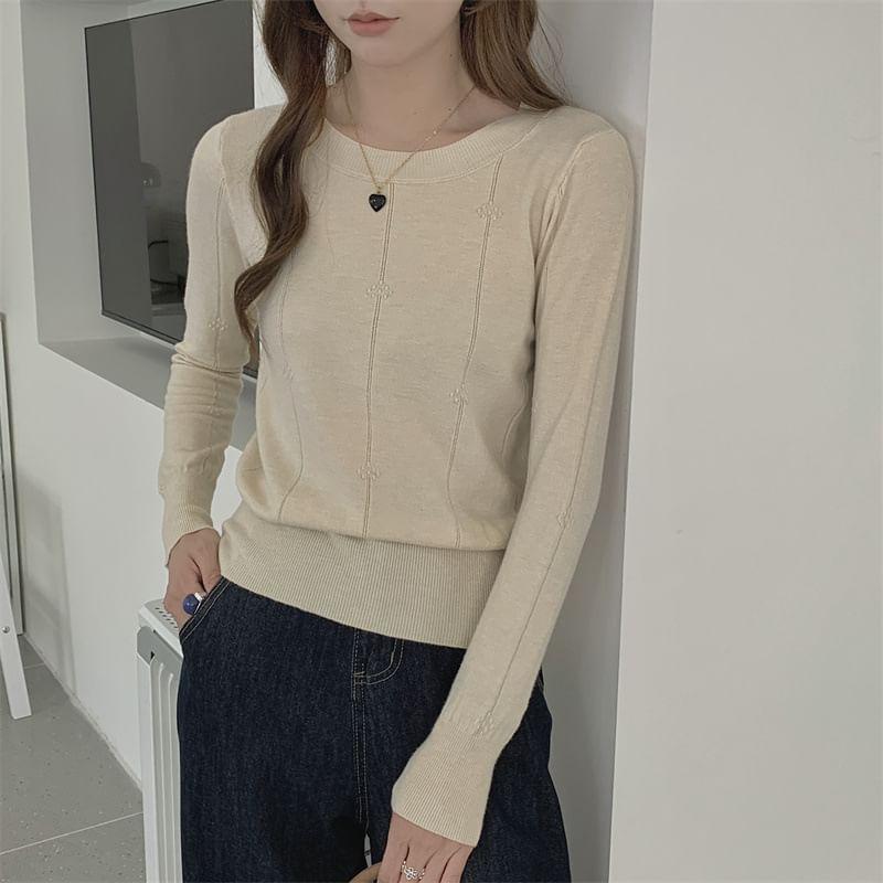 Long-Sleeve Crew Neck Plain Knit Top Product Image