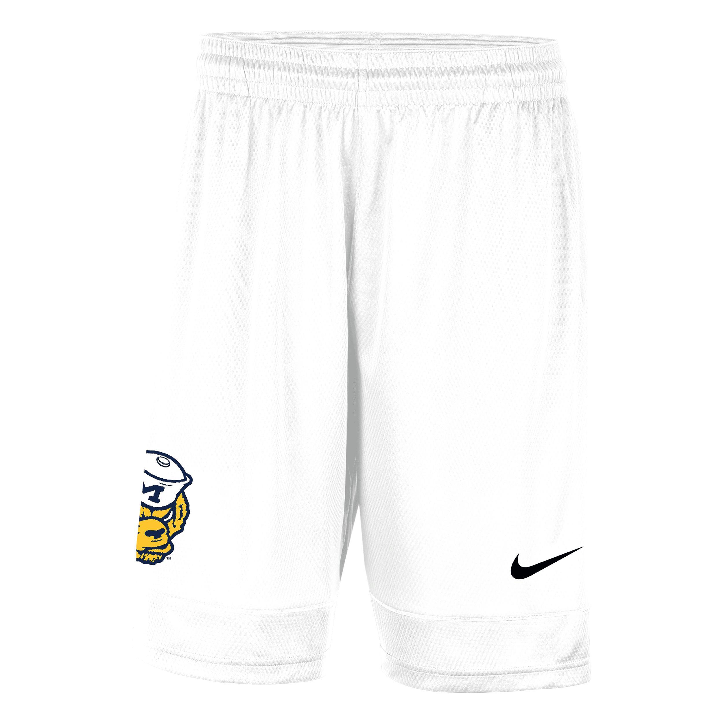 Michigan Nike Mens College Shorts Product Image