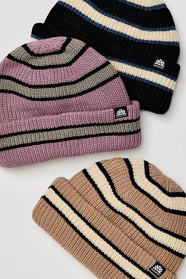 Slacker Striped Beanie Product Image