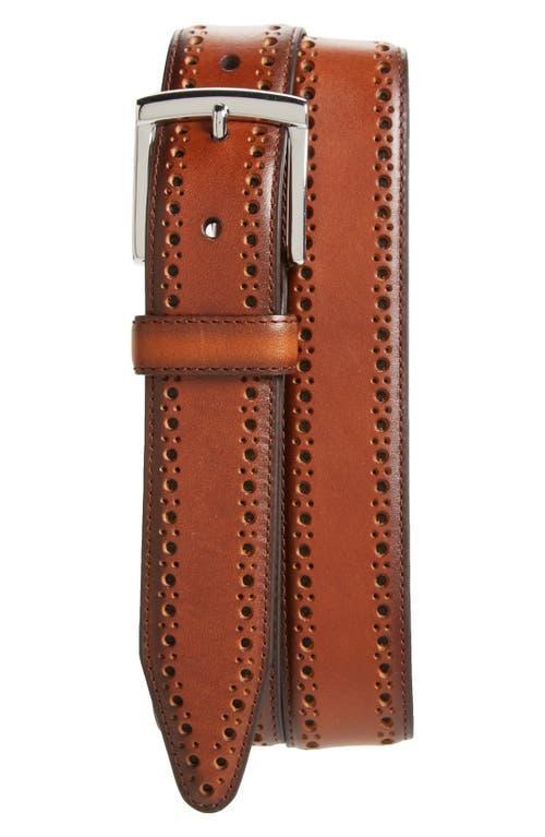 Johnston  Murphy Perforated Belt Product Image